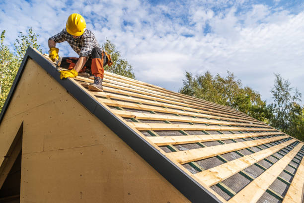 Best Roof Gutter Cleaning  in Galls, IN